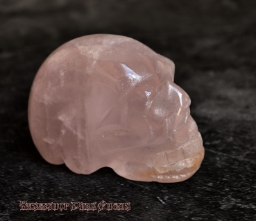 Hexenshop Dark Phönix Kristall Schädel "Rose Point" aus Rosenquarz
